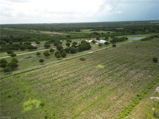 Expansive undeveloped land featuring a detached structure, numerous mature trees, a private pond, and a substantial cleared area