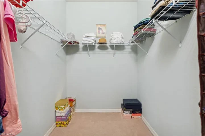Spacious closet with carpet flooring