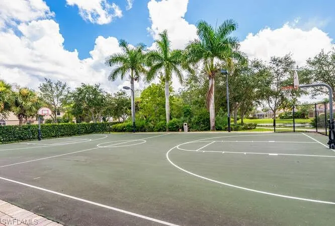 Basketball court