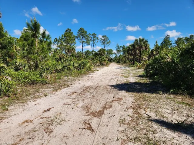View of road