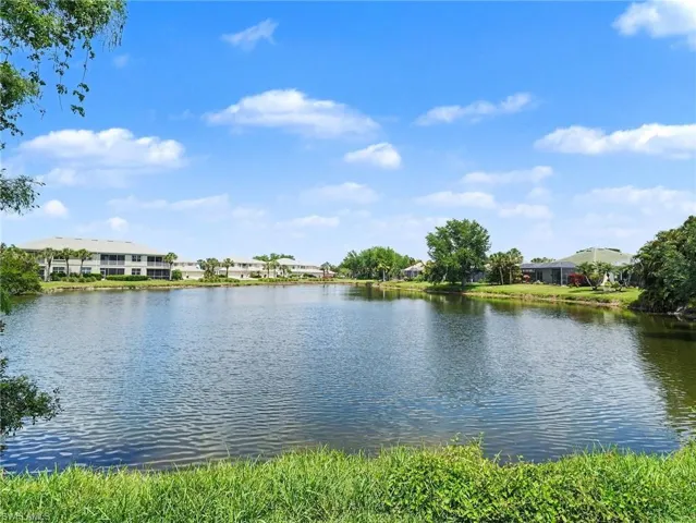Beautiful water view