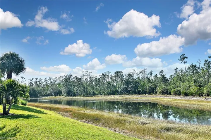 Water view with a forest
