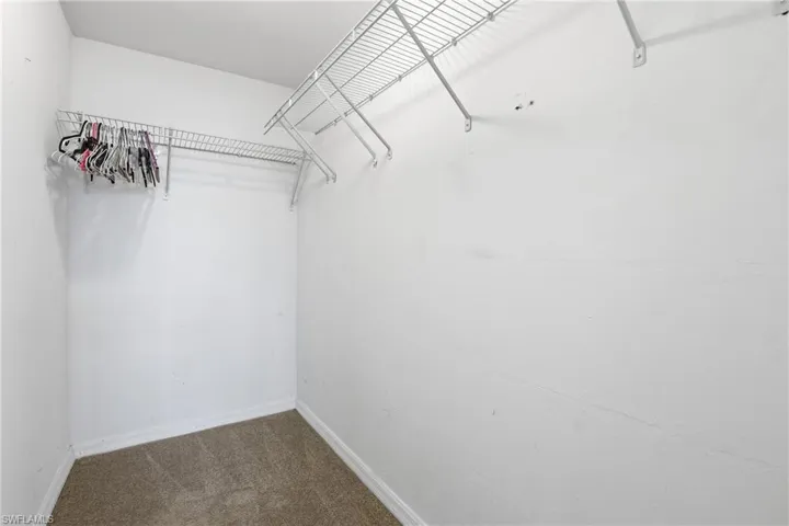 Spacious closet with dark colored carpet