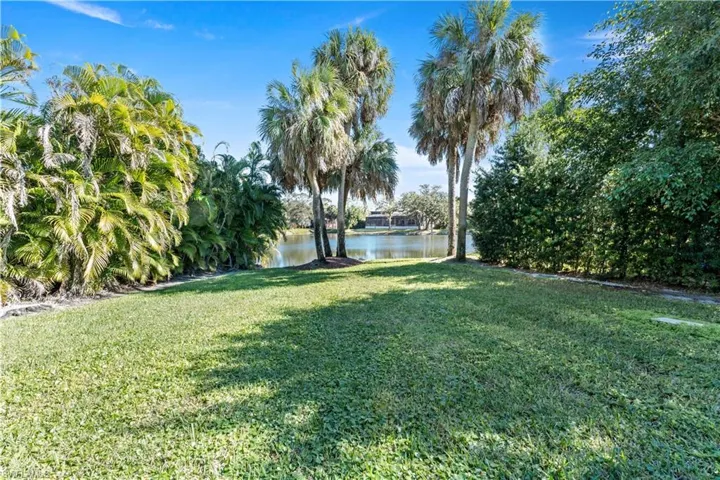 Backyard & Lake