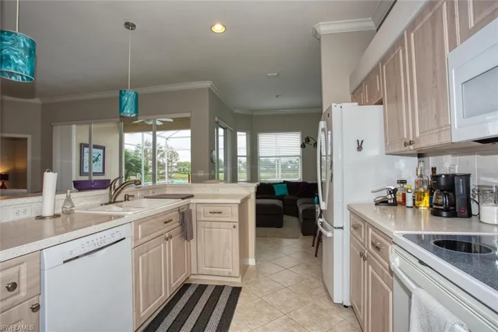 10307  White Palm  WAY, Fort Myers, FL 33966