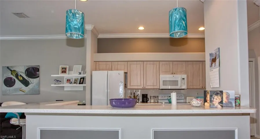 10307  White Palm  WAY, Fort Myers, FL 33966