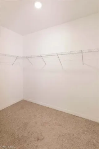 Walk in closet featuring carpet