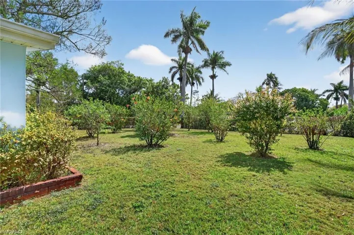 View of grassy side yard