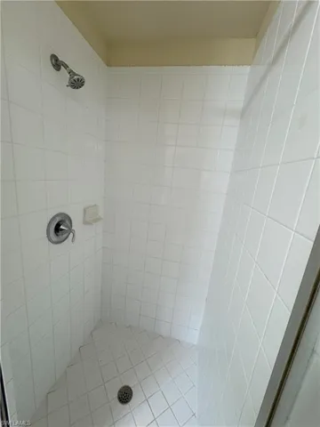 Bathroom with a tile shower