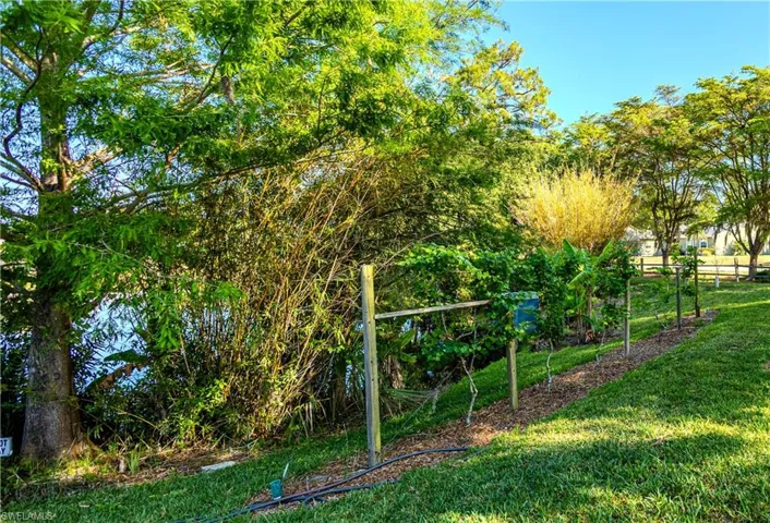 View of grassy yard