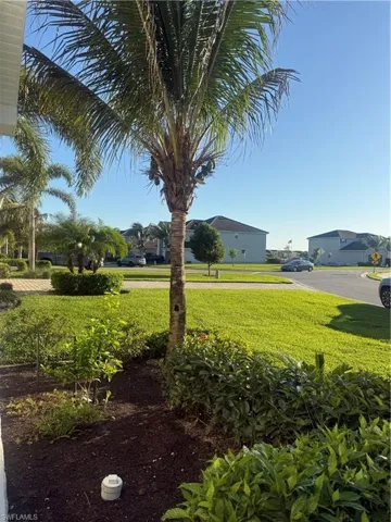 View of grassy yard
