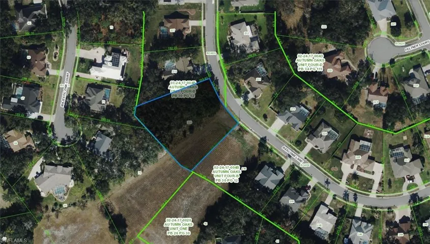 Aerial Parcel Map. Illustrating the property's boundary and surrounding parcels within a developed area