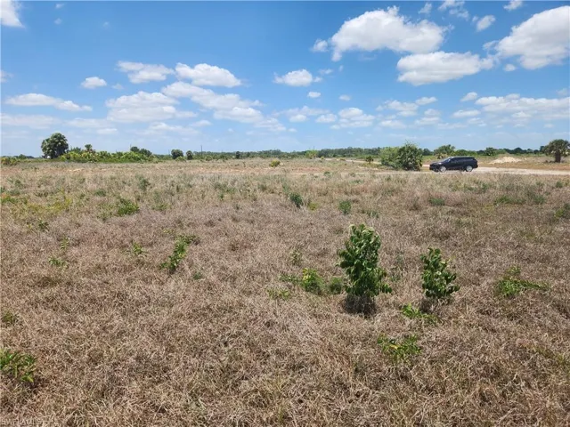 Northerly view from rear of lot