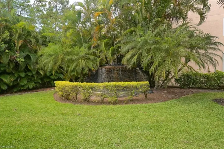 Water Feature
