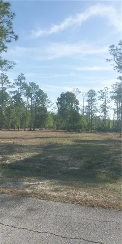 102 Leroy AVE, LEHIGH ACRES FL 33936