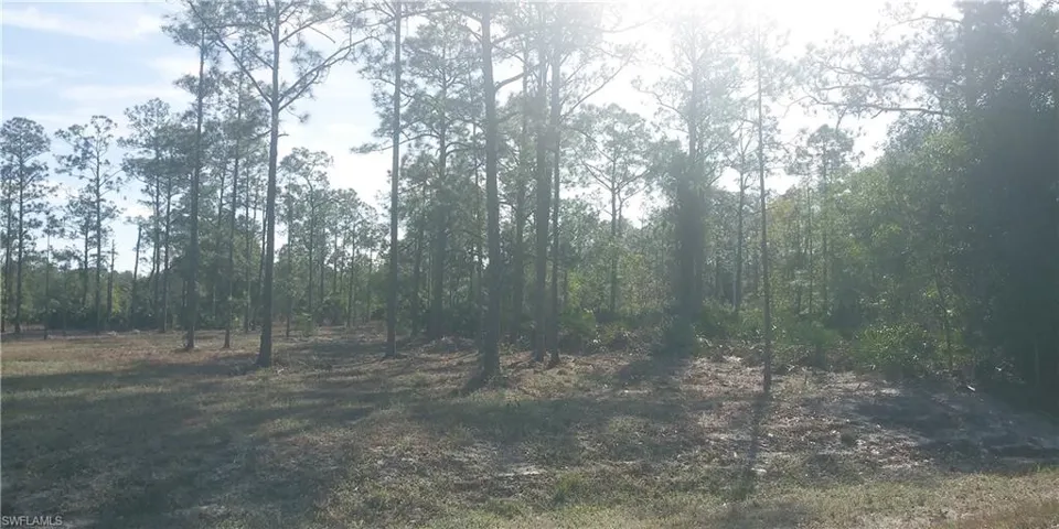 102 Leroy AVE, LEHIGH ACRES FL 33936