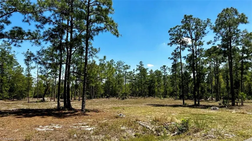 102 Leroy AVE, LEHIGH ACRES FL 33936
