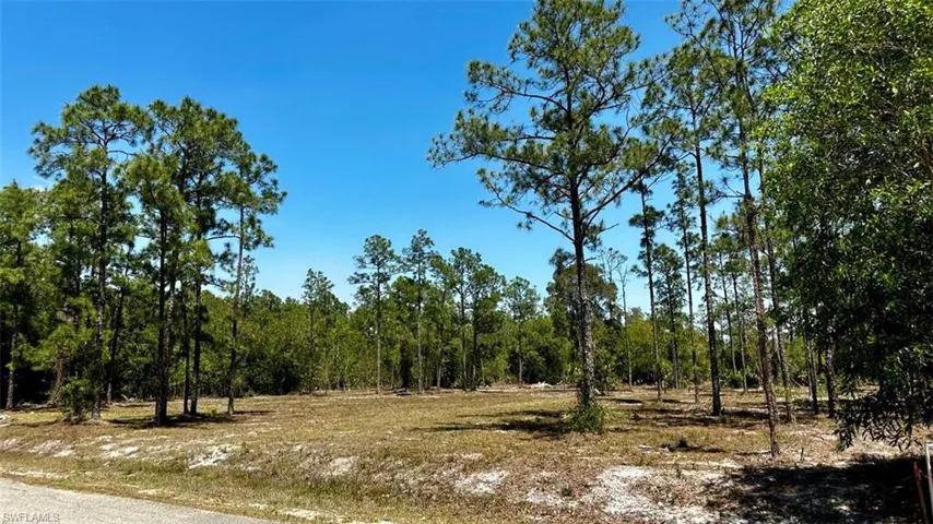 102 Leroy AVE, LEHIGH ACRES FL 33936
