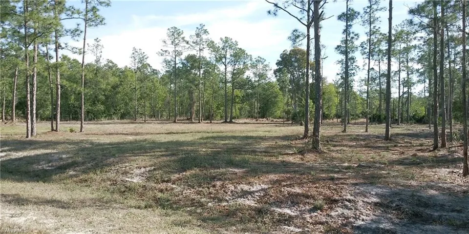 102 Leroy AVE, LEHIGH ACRES FL 33936