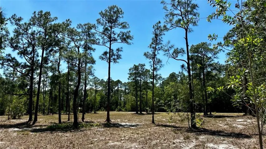 102 Leroy AVE, LEHIGH ACRES FL 33936