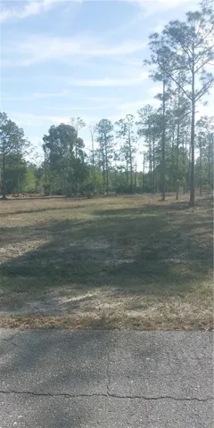 102 Leroy AVE, LEHIGH ACRES FL 33936