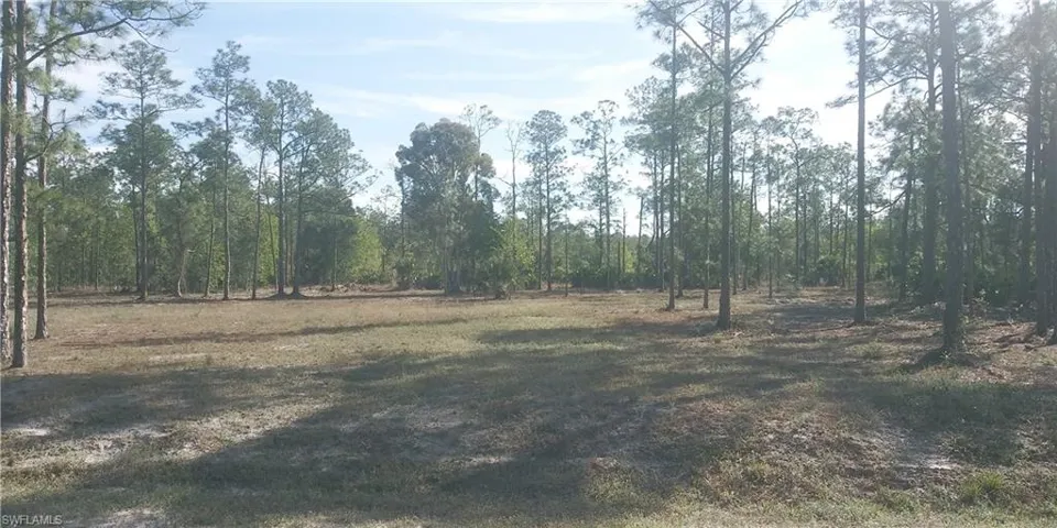 102 Leroy AVE, LEHIGH ACRES FL 33936