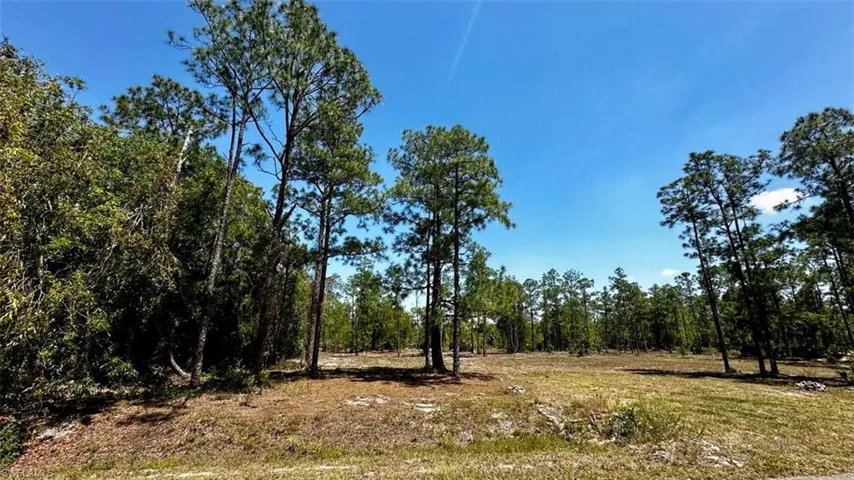 102 Leroy AVE, LEHIGH ACRES FL 33936