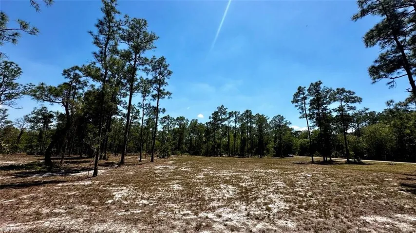 102 Leroy AVE, LEHIGH ACRES FL 33936