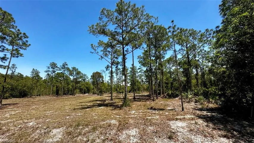 102 Leroy AVE, LEHIGH ACRES FL 33936