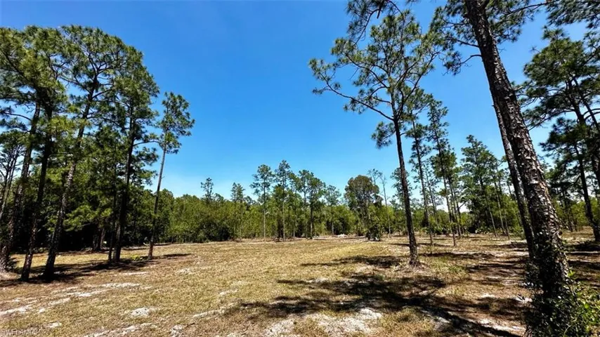 102 Leroy AVE, LEHIGH ACRES FL 33936