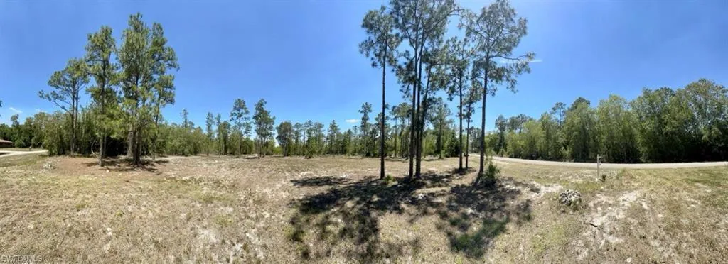 102 Leroy AVE, LEHIGH ACRES FL 33936