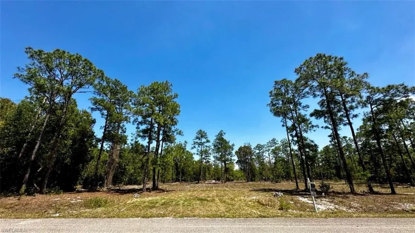 102 Leroy AVE, LEHIGH ACRES FL 33936