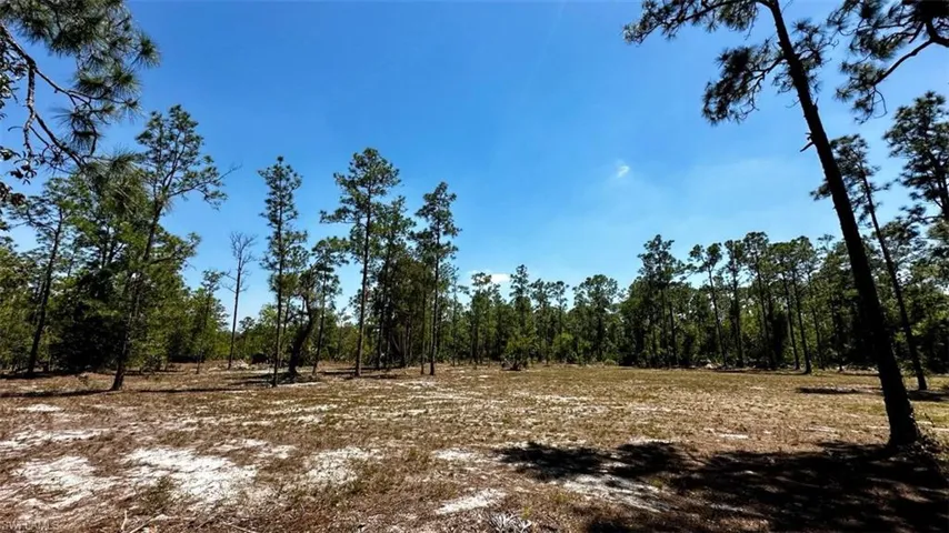 102 Leroy AVE, LEHIGH ACRES FL 33936