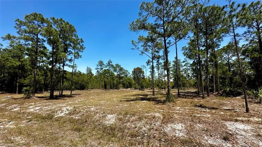 102 Leroy AVE, LEHIGH ACRES FL 33936