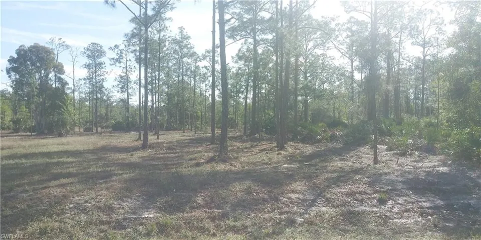 102 Leroy AVE, LEHIGH ACRES FL 33936