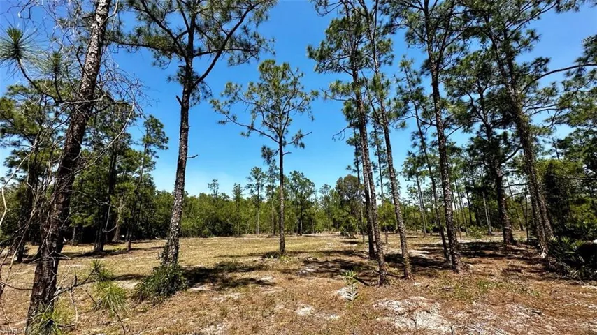 102 Leroy AVE, LEHIGH ACRES FL 33936