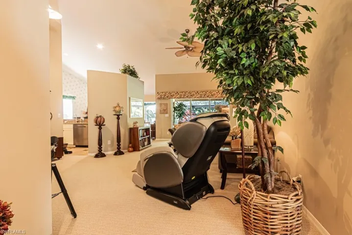 Exercise area with carpet floors, healthy amount of natural light, lofted ceiling, and ceiling fan