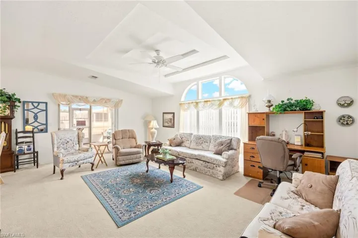 Living area featuring a raised ceiling, a wealth of natural light, a ceiling fan, and carpet