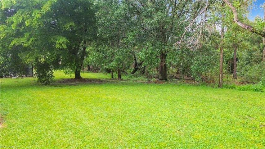 Wooded preserve area in backyard