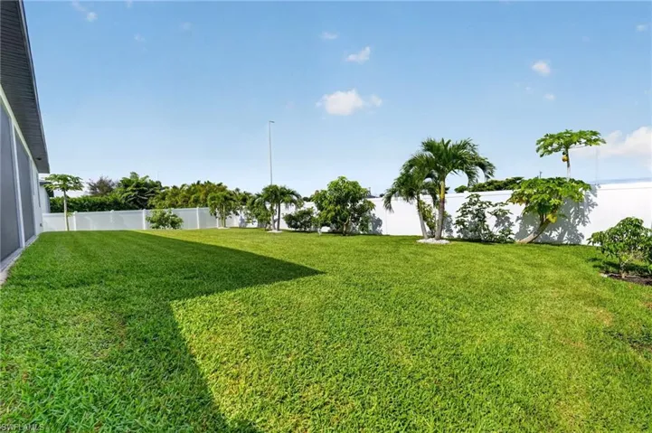 Yard