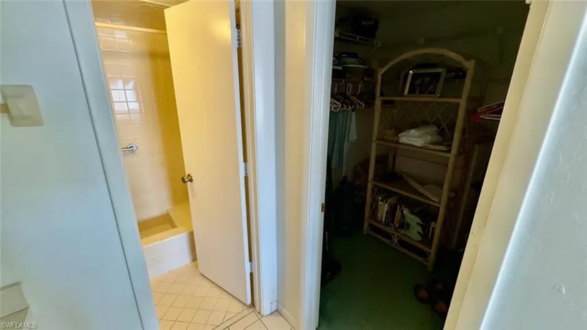 Bathroom and Walk In Closet