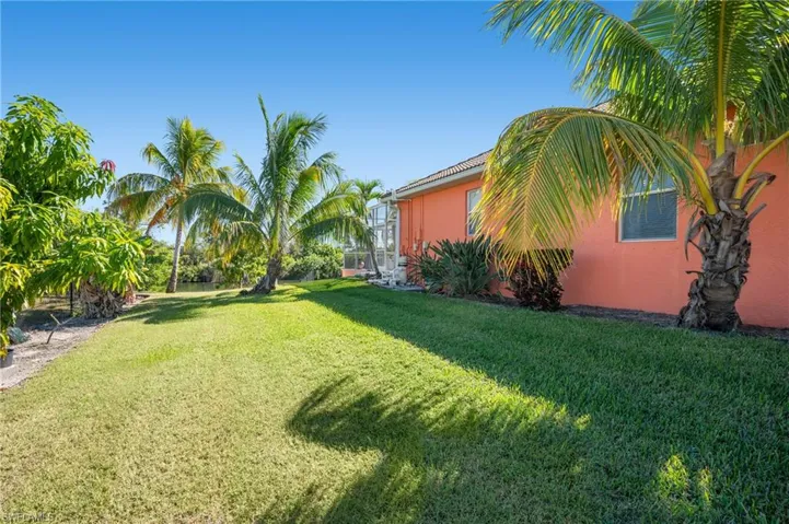 View of grassy yard