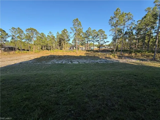 View of green lawn