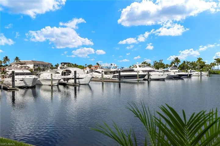 Water view with a dock