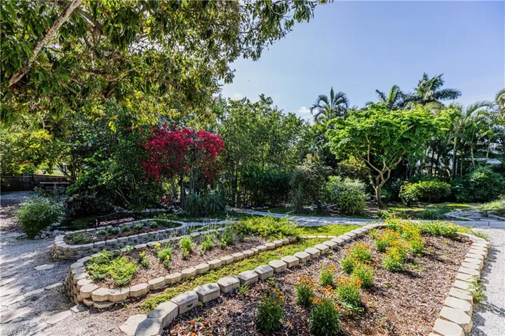 Terrace Rear Yard