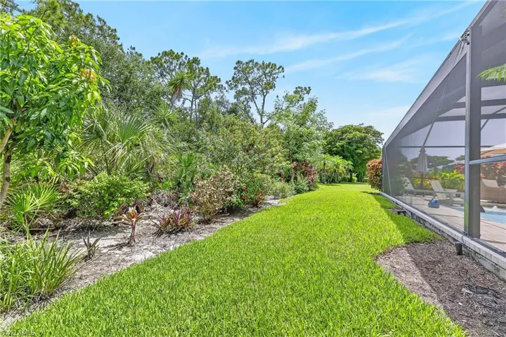 Gorgeous Backyard