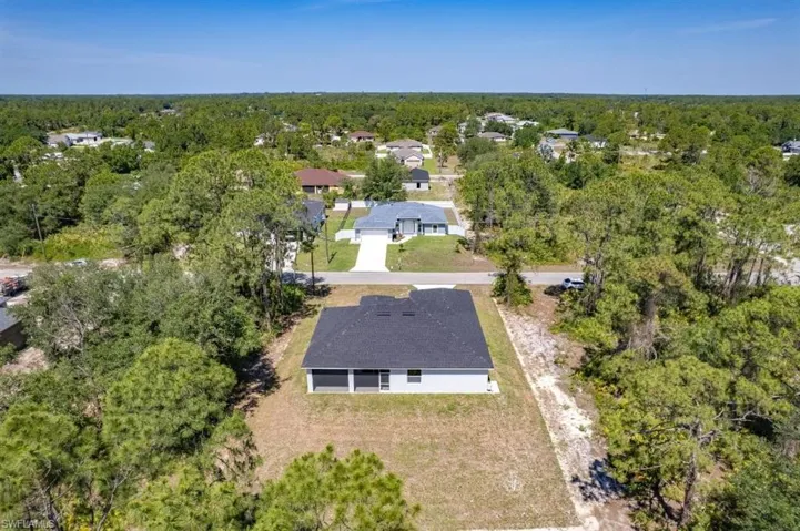 Bird's eye view of a forest