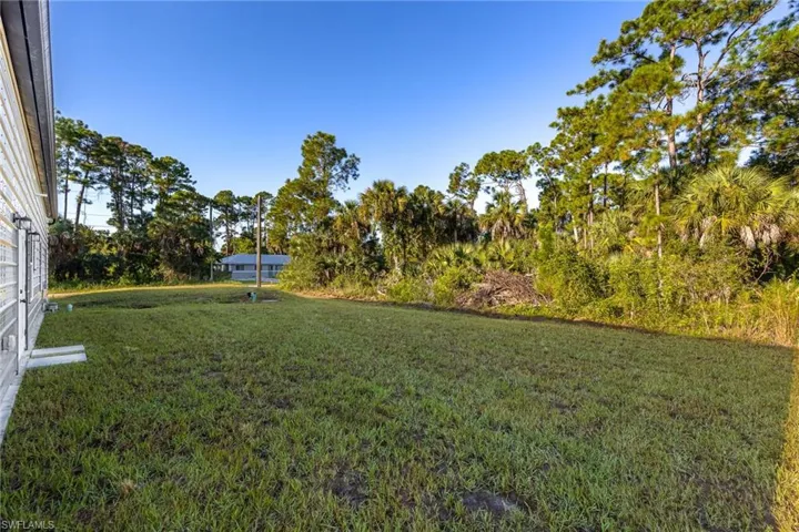 View of green lawn