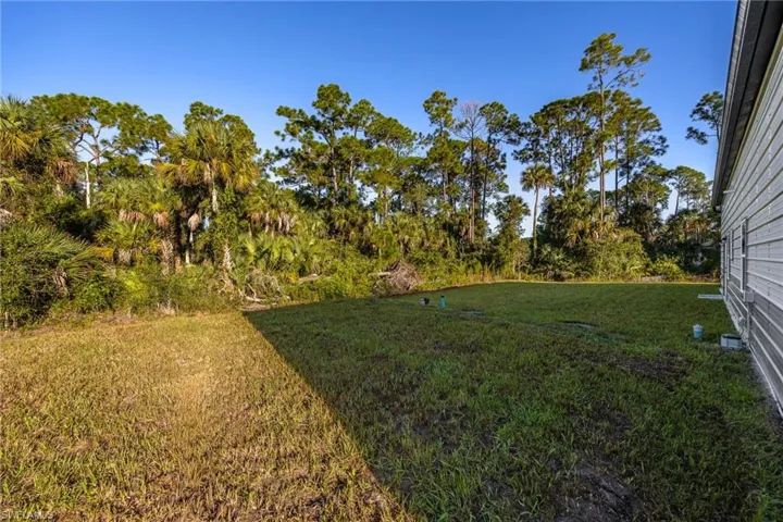 View of grassy yard