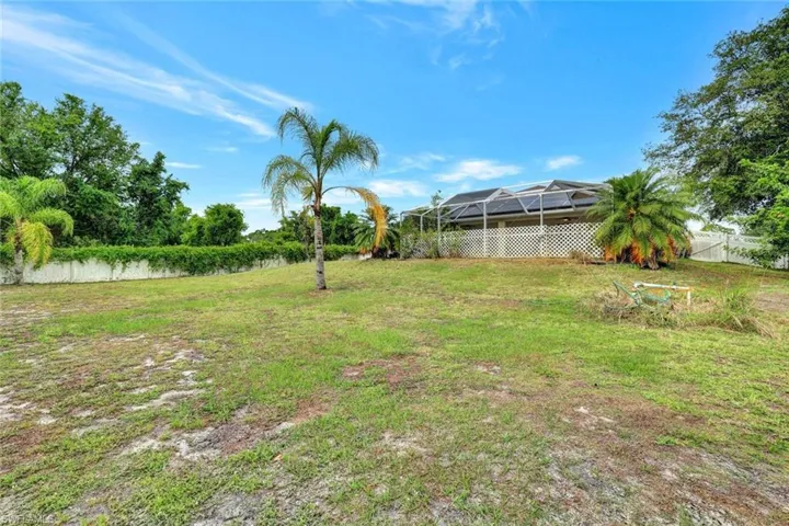Back yard